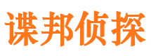 茂港市侦探调查公司